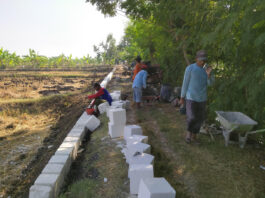 Permudah Akses Pertanian, Pemdes Sekargadung Dukun Bangun JUT