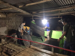 AYAM SABUNG