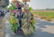 Ikut Karnaval Dusun Jedong, Kades Sekarputih dan Istri Berbusana Pengantin