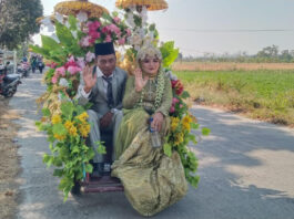 Ikut Karnaval Dusun Jedong, Kades Sekarputih dan Istri Berbusana Pengantin